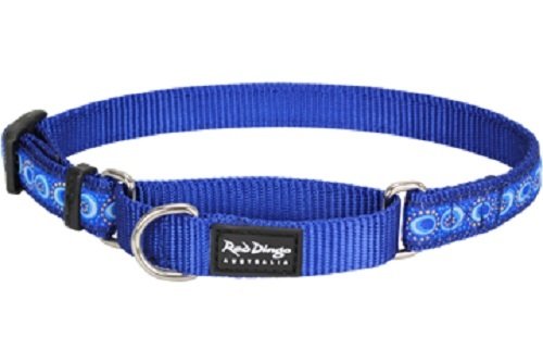 Red Dingo Martingale Cosmos 15mm Choke Collar, Small/Medium, Dark Blue