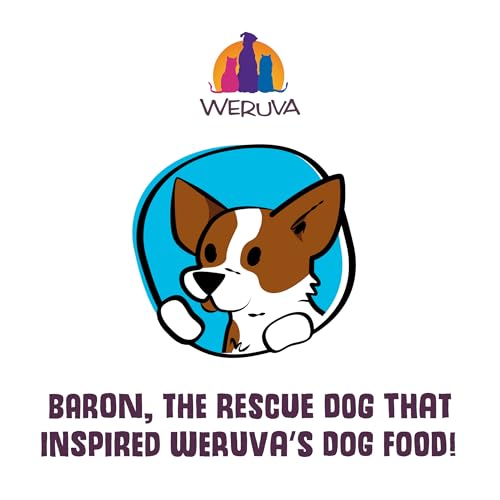 WERUVA DOGS IN THE KITCHEN, THE DOUBLE DIP WITH BEEF & WILD-CAUGHT SALMON AU JUS DOG FOOD, 2.8OZ POUCH (PACK OF 12), RED