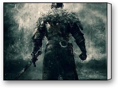 PrettyLee Custom Modern Wall Art Home Decor Canvas Prints Dark Souls Ii 16 X 12 Inch