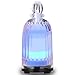 Glass Essential Oil Diffuser Aromatherapy Diffuser, 120ml Ultrasonic Cool Mist Humidifier 7 Colors Light Adjustable Mist Mode Waterless Auto Shut-Off for Home Office Bedroom