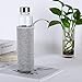 AMOYSTONE Aquamarine Crystal Crushed Stones Water Bottle Infuser Energy with Removable Crystal Protective Sleeve 450ml