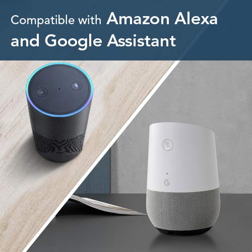 ECOVACS DEEBOT 601 Robotic Vacuum Cleaner with App Control Bundle with