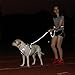 Menkar Dog Harness, No Pull, Adjustable, Outdoor Walking, Pet Vest, Reflective, Easy Control, for Large Dogs