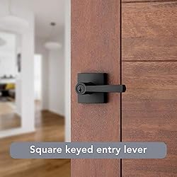 Baldwin Spyglass , Entry Door Handle Reversible