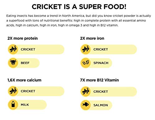 image for Näak Cricket High Protein Bars - 20 Grams Complete Protein, 6 Grams S
