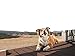 Purina Waggin' Train Chicken Jerky Minis Dog Treats, 11 oz. Pouch