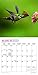 Hummingbirds 2020 7 x 7 Inch Monthly Mini Wall Calendar with Foil Stamped Cover by Plato, Animals Wildlife Birds