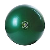 GoFit Core stability ball premium with Workout DVD (75 cm)