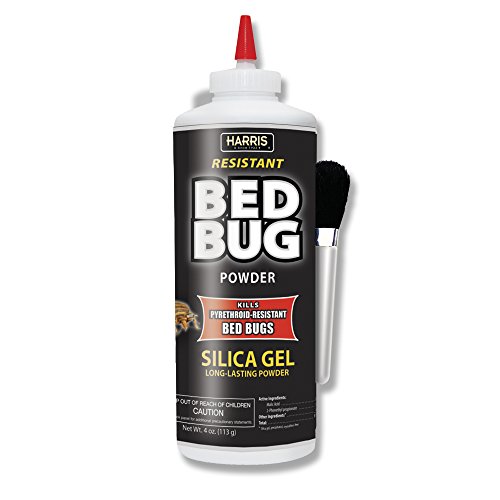 List of the Top 10 bed bug killer powder you can buy in 2020 Klubem