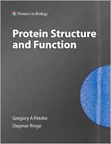 Protein Structure and Function: 9780878936632: Medicine & Health