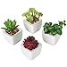 MyGift Artificial Assorted Mini Succulents Plants in Modern White Cube Shaped Ceramic Planter Pots, Set of 4 / Small Potted Colorful Faux Succulent Plants