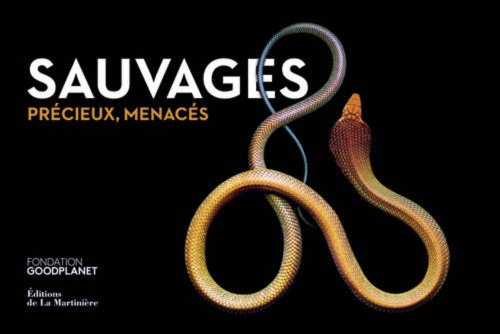 Sauvages