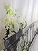 Kate 5x7ft/1.5m(W) x2.2m(H) Wedding Photography Backdrops White Flowers Background Natural Scenery Bridal Shower Photo Studio Props