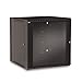 12U LINIER Swing-Out Wall Mount Cabinet - Glass Door