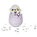 Hatchimals - Hatching Egg - Interactive Creature - Penguala - Pink Egg by Spin Master