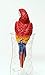 Garden at Home Tropical Decor Macaw Parrot Figurine Pot Hanger, 9