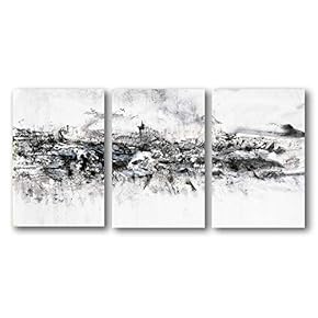 3 Panel Canvas Wall Art Abstract Color Pictures Home Wall Decorations for Bedroom Living Room Paintings Canvas Prints Framed - 16"x24" x 3 Panels