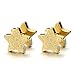 2pcs Gold Star Screw Stud Earrings for Men Women, Steel Cheater Fake Ear Plugs Gauges, Satin Finished