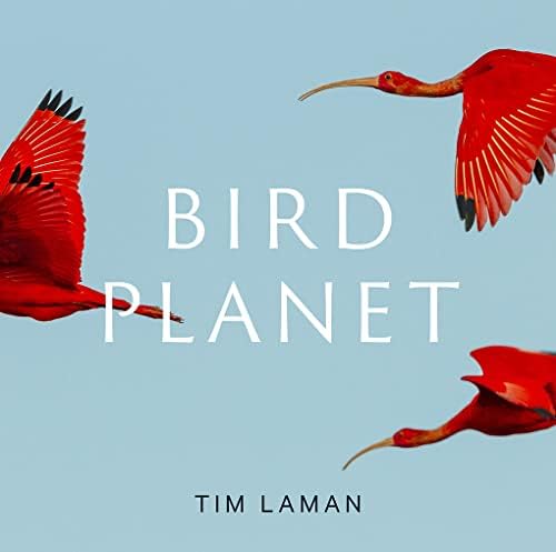 Amazon.com: Bird: 9780811870986: Zuckerman, Andrew: Books