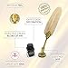 Baroque Royal Calligraphy Feather Quill Pen and Ink Set for Beginners (11-Piece Set) | Antique Dip Pen, 7 Gold Nibs, 25ml Ink, Pen Rest and Luxury Gift Box | Best Hand Lettering Gift for Men and Women