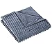 RoamFish Weighted Blanket Cover, Kids Adults Removable Breathable Minky Covers for Cotton Inner Layer, Duvet Cover ONLY(Light Grey, 41.5X 60 inch)