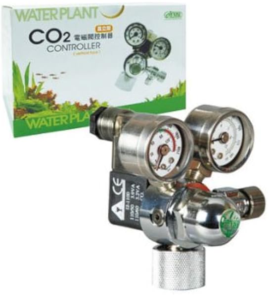 greyhound racing adoption