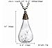 bestwishes2u Dried Dandelion Seed Glass Locket Pendant Necklace with 26