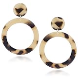 Acrylic Resin Drop Dangle Earrings Leopard Tortoise Shell Lucite Acetate Mottled Hoop Earrings for Women