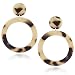 Acrylic Resin Drop Dangle Earrings Leopard Tortoise Shell Lucite Acetate Mottled Hoop Earrings for Women primary