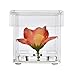 AiLa Preserved Rose Flower Box Small Acrylic Flower Case One Frame Flowers Gift Boxes Cube Display Case Decor For Home Office