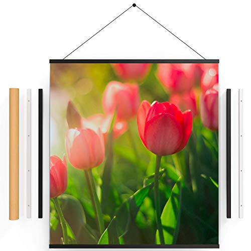 Bailey Magnetic Poster Frame, Large Frames for Posters 70 cm (27 9/16 in) Width, Length Can Be Any Size You Want, Black, 70 cm x 100 cm, 70 x 50 cm