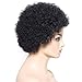 YIROO Afro Kinky Curly Short Human Hair wigs for Black Women Brazilian Virgin Hair Capless Cap Wigs Natural Black Color(6 inch, 1B)