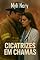 Livro Cicatrizes Em Chamas