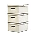 StorageWorks 40 L,Canvas Storage Box with Lid By, Foldable Closet Organizer, Natural, Jumbo, 3-Pack