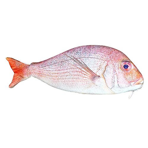 TOOGOO(R) Fish shaped pencil bag pencil case box fish school pen case originality School creative giftsÂ£Â¨RedÂ£