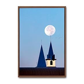 Framed Canvas Wall Art Animals, Flowers, Birds Canvas Prints Home Artwork Decoration for Living Room, Bedroom - 16x24 inches