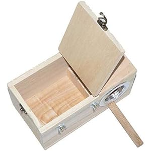 8bayfa Formicaio 4 Pezzi Budgie Nest Box for Animali Scatole voliera Nesting 8bayfa 8bayfa Formicaio 4 Pezzi Budgie Nest Box for Animali Scatole voliera Nesting