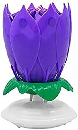 1pcs Happy Birthday Busic Candle (purple)