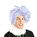 Dazzling Toys Soft High Quality Cotume Mad Scientist White Wig, Great for Dressing, Adjusts to Fit Adults and Children.