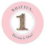 Custom Fun to be One - 1st Birthday Girl - Personalized Birthday Party Favor Circle Sticker Labels - Set of 24