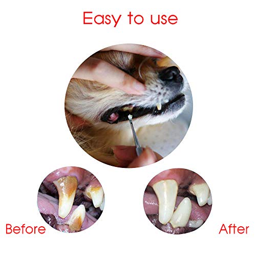 Dog Tooth Care Dental Scaler and Dental Scraper Tool with 2 Pack Pet Tarter Remover with Different Angles Double Head, Stainless Steel Teeth Cleaning Tools for Dogs, Cat