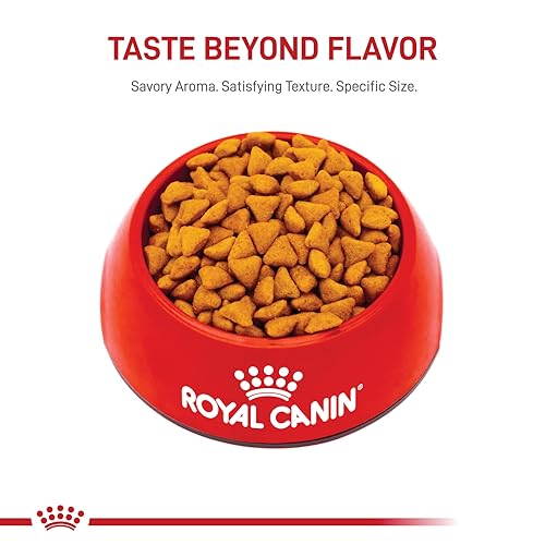 ROYAL CANIN FELINE HEALTH NUTRITION INDOOR ADULT DRY CAT FOOD, 7 LB BAG