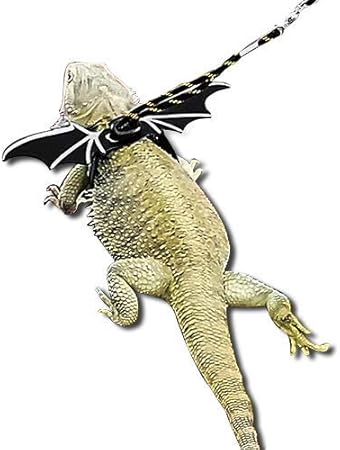 leopard bearded dragon