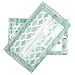 Butipods Slim Wet Wipe Case Travel Clutch Pouch Holder 2-Pack | Reusable Refillable Portable Baby Wipes Dispenser Container | Wipes Stay Moist | Great for Hand & Face Wipes (Grey|Lucite Green)