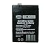 AMERICAN HUNTER Rechargeable Battery 30008 6 Volt Lead Acid 4.5 mAh primary