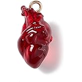 DanLingJewelry 20Pcs Dark Red Anatomical Heart Charms 3D Human Organ Charms Gothic Heart Resin Charm for Jewelry Making Crafts