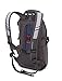 SWISSGEAR 1651 City Backpack (Blue/Grey)