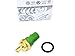 Volkswagen Temperature Sensor - 059-919-501A