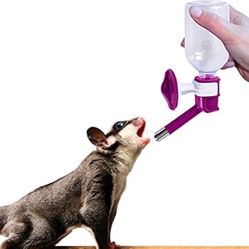 SunGrow Sugar Glider Water Bottle, No Drip Pet Dispenser Bottle, Secure Nozzle and Stainless Steel Drinking Head, Easy to Install and Refill in Flying Squirrel's Cage, 10 Ounce Capacity