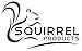 Squirrel Products Jumbo Pirate Ship Wheel - Swing Set Accessories Replacements & Additions - Active Outdoor Play for Boys & Girls Ages 3 & Older - Green